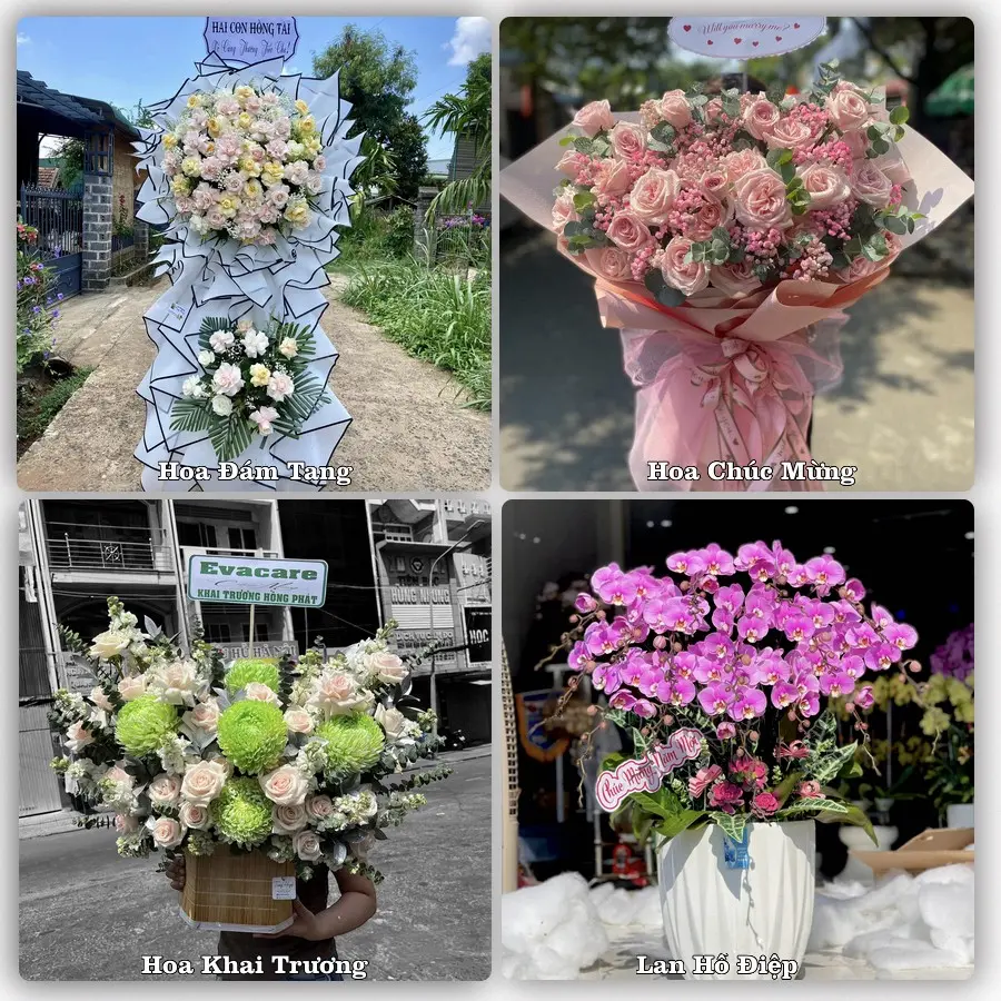 Mẫu hoa tươi giao tại Bình Phú, TP.HCM