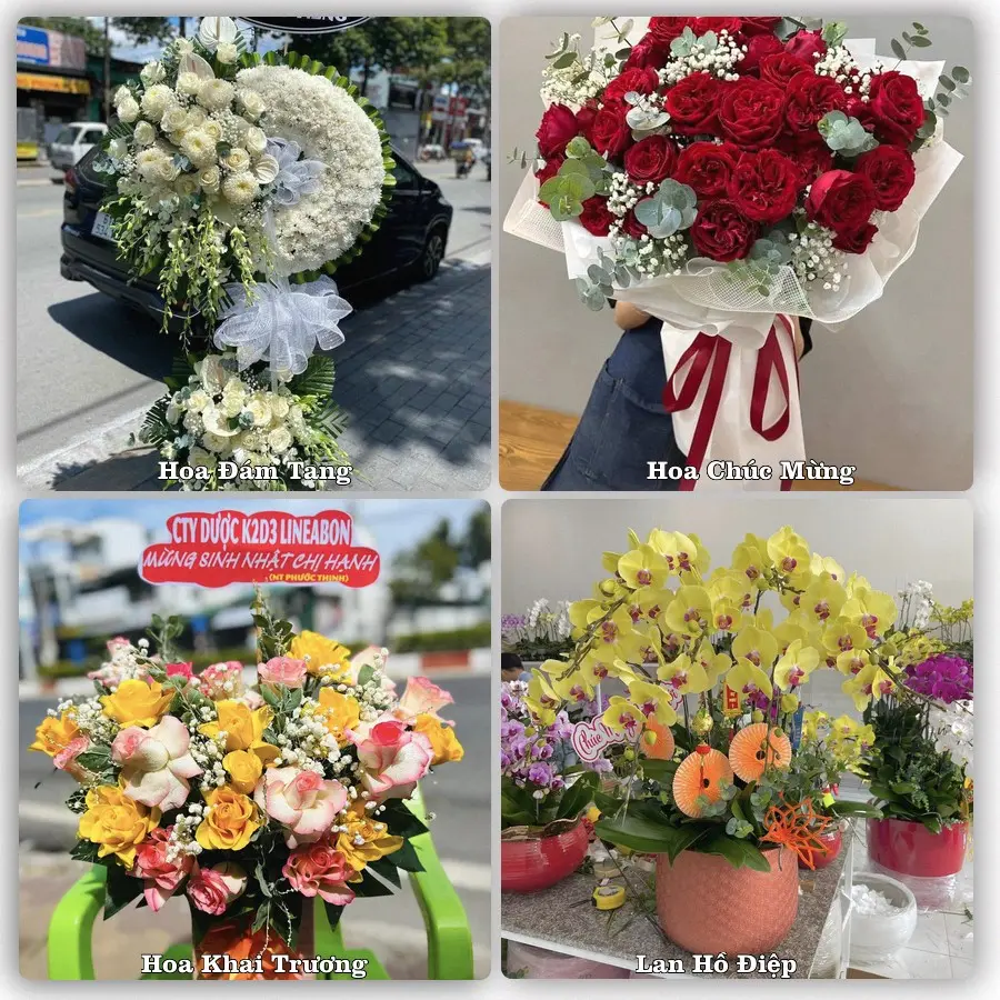 Mẫu hoa tươi giao tại Bình Tân, TP.HCM