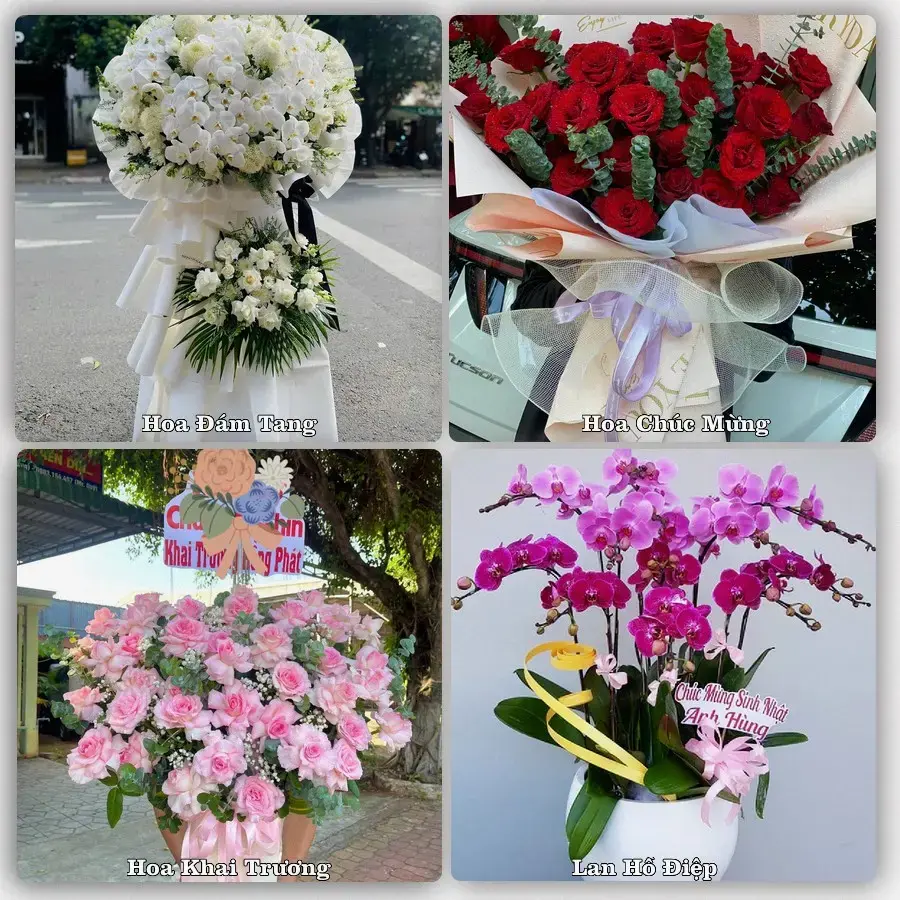 Đặt hoa giao tận nơi khu Bình Tây, TP.HCM