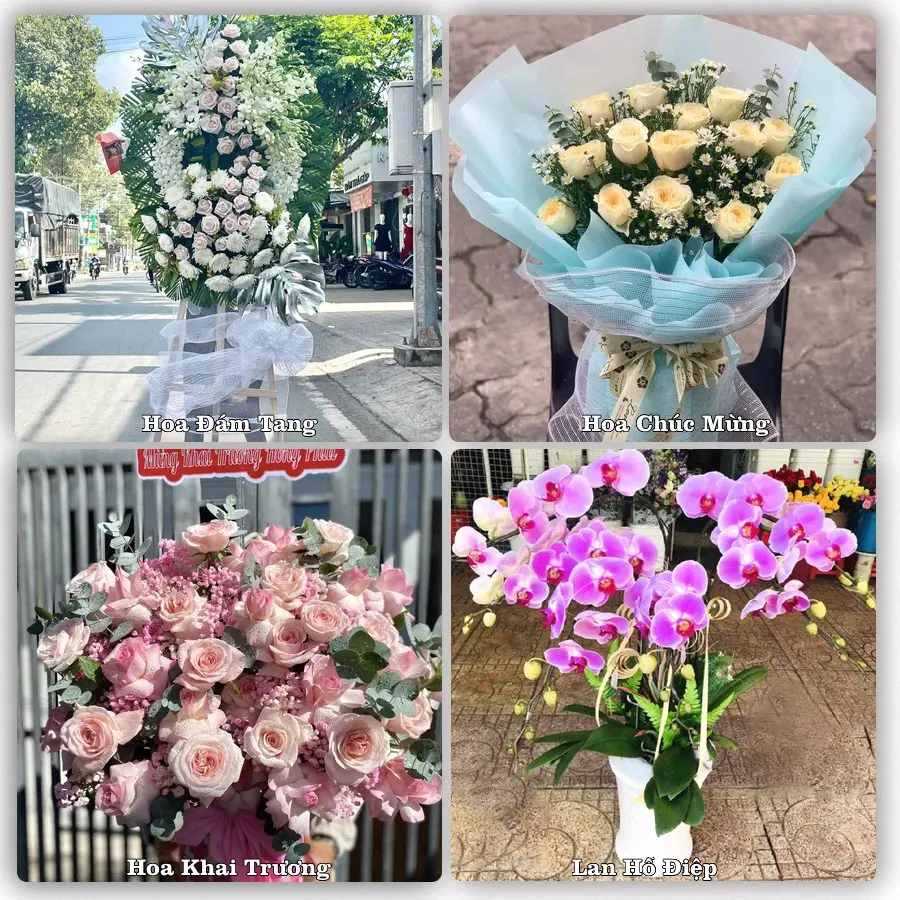 Mẫu hoa tươi giao tại Bình Tây, TP.HCM