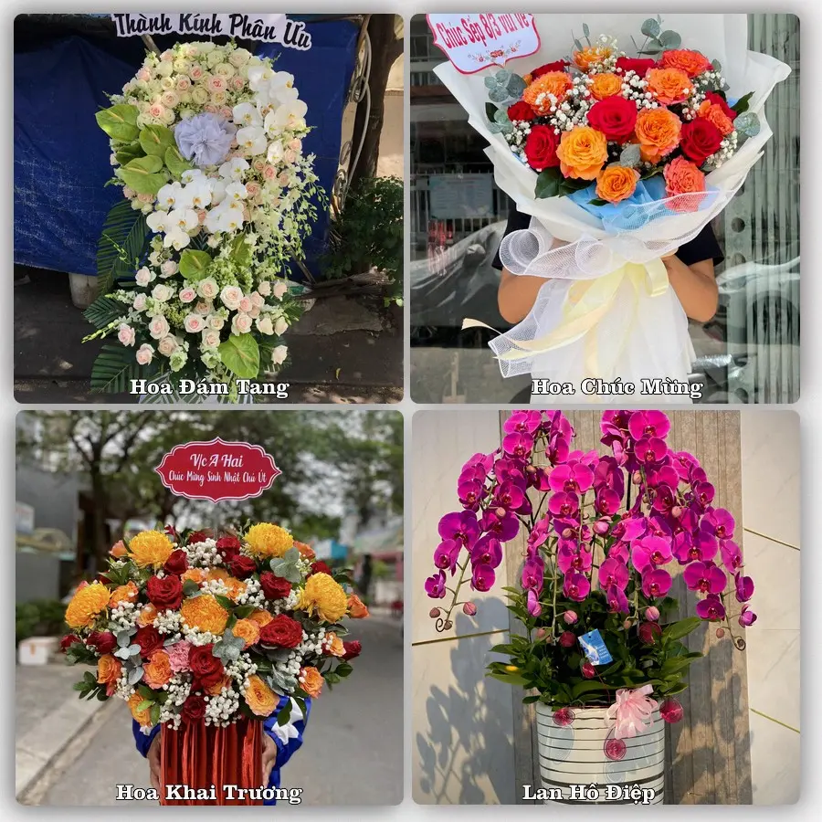 Mẫu hoa tươi giao tại phường Bình Thạnh