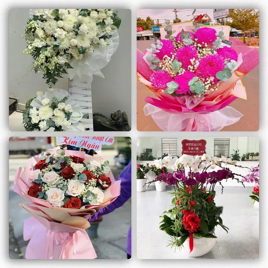 Mẫu hoa tươi tại Bình Thới