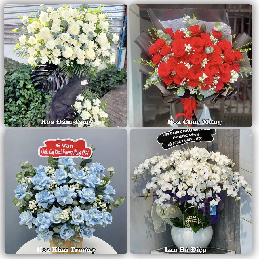 Đặt hoa giao tận nơi khu Bình Thới, TP.HCM