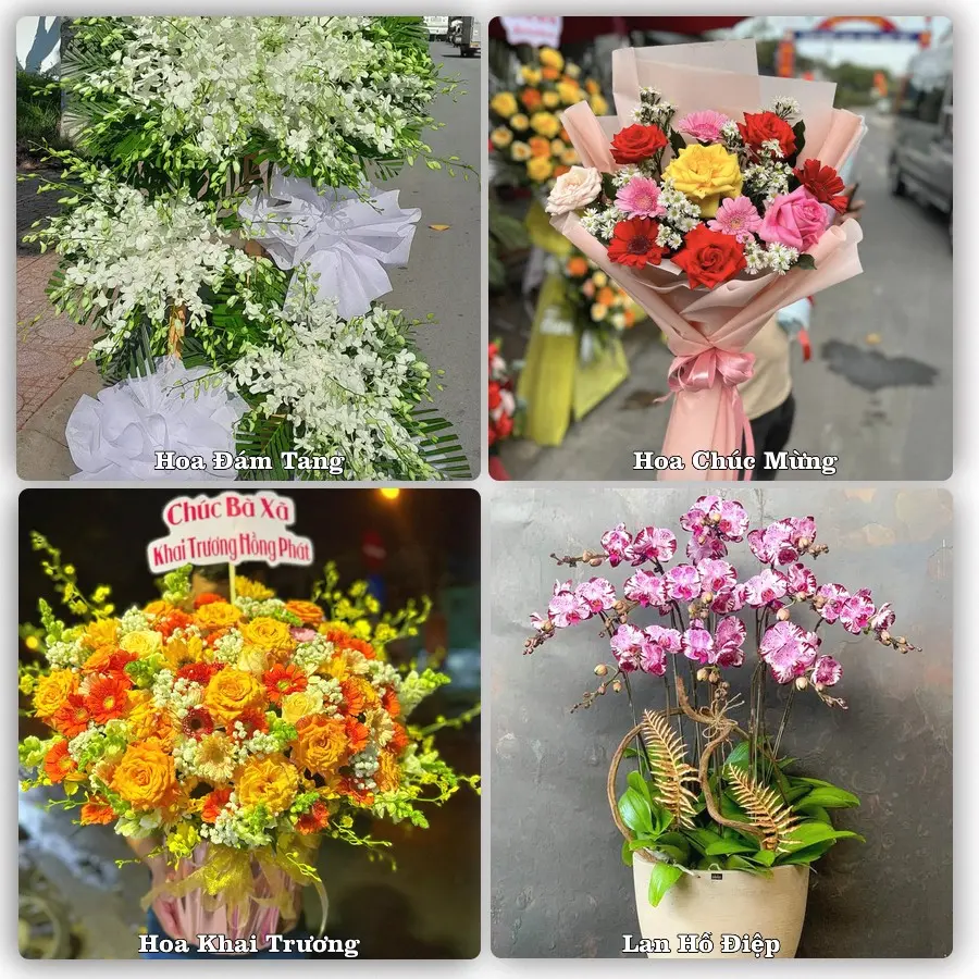 Mẫu hoa tươi giao tại Bình Thới, TP.HCM