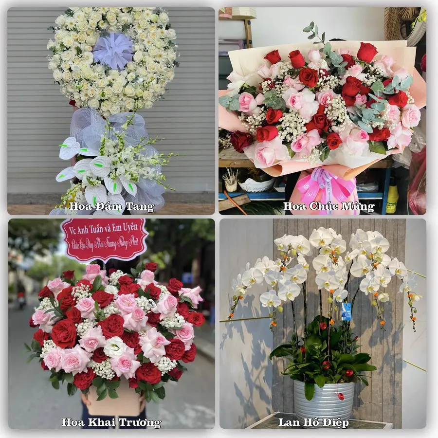 Đặt hoa giao tận nơi khu Bình Tiên, Quận 6