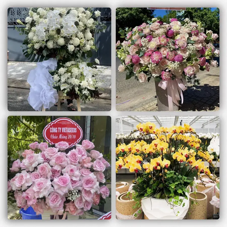 Mẫu hoa tươi tại Bố Hạ