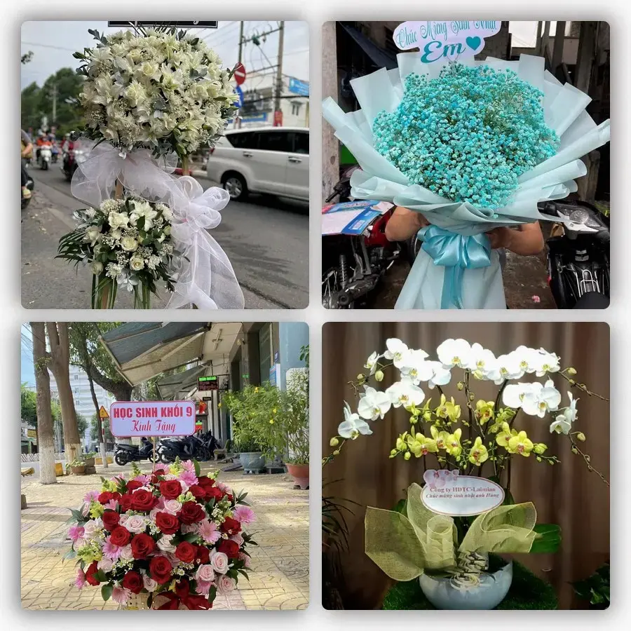 Mẫu hoa tươi tại Bo