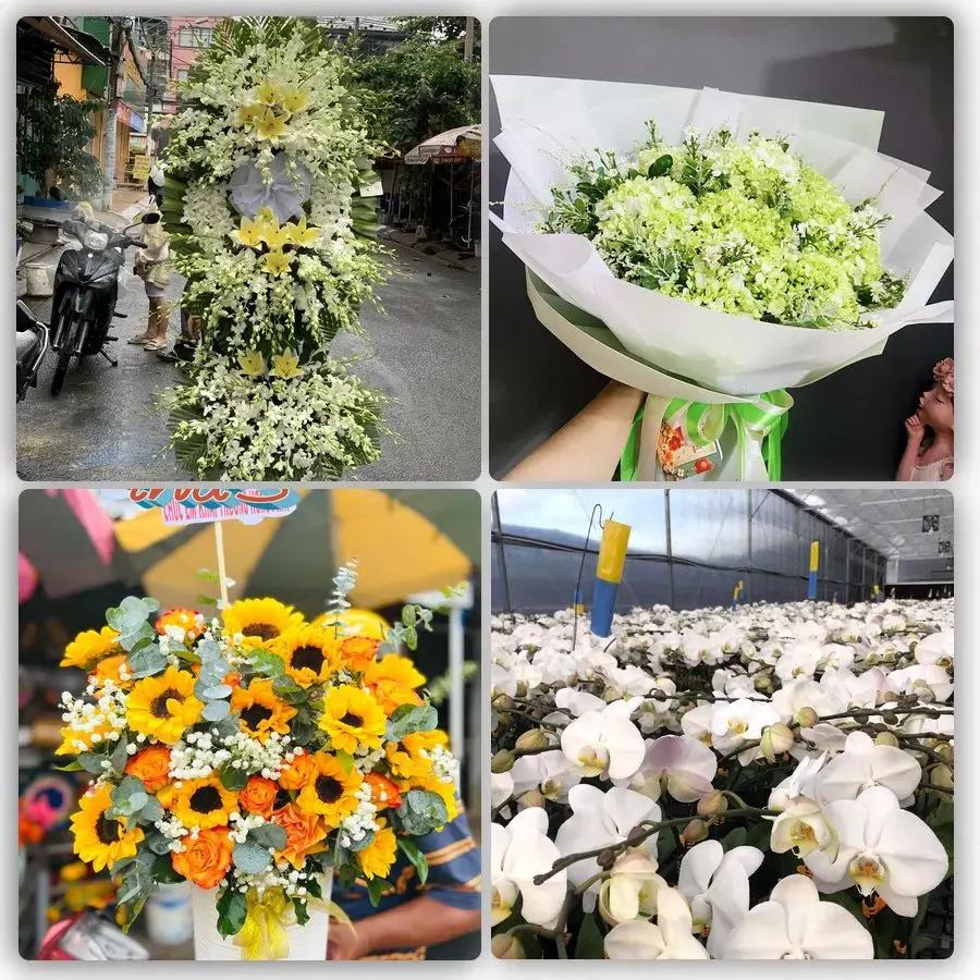Shop hoa tươi Cái Răng, Cần Thơ – Giao hoa tận nơi theo yêu cầu