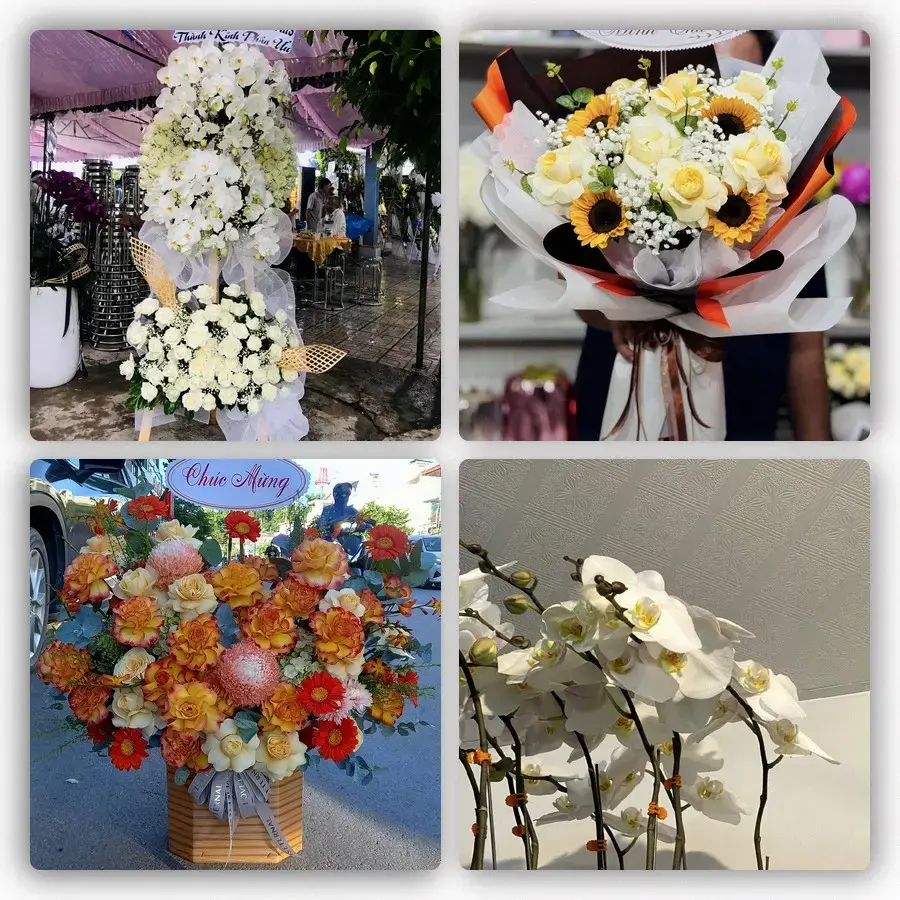 Mẫu hoa tươi tại Cái Vồn