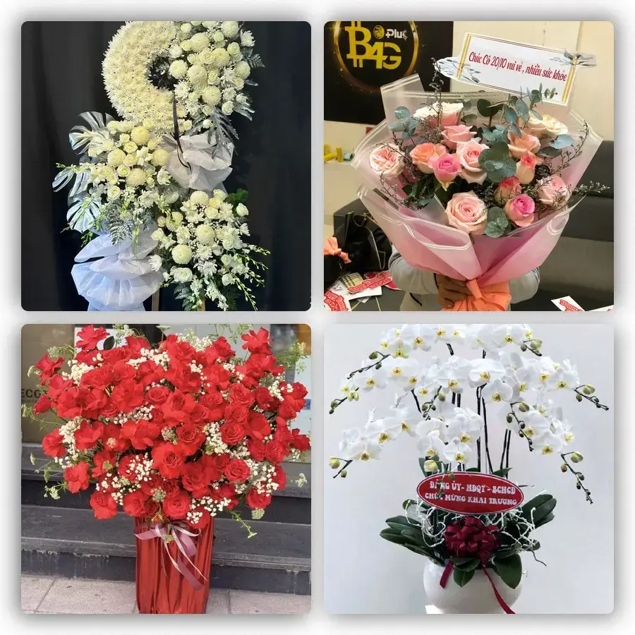 Mẫu hoa tươi tại Cam Lộ