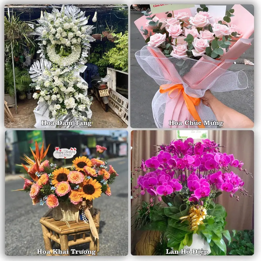 Đặt hoa giao tận nơi khu Cao Lãnh, Đồng Tháp