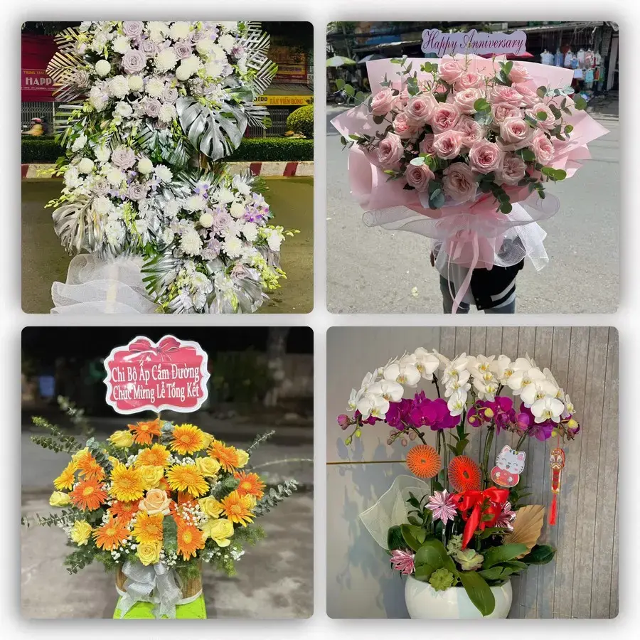 Mẫu hoa tươi tại Cát Bà