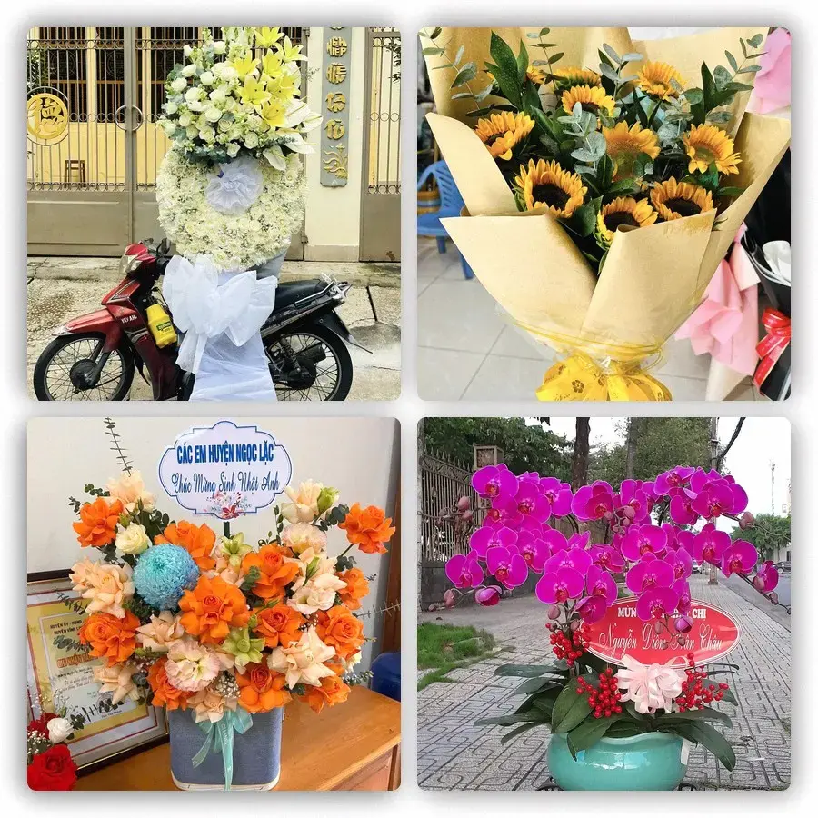Mẫu hoa tươi tại Chánh An