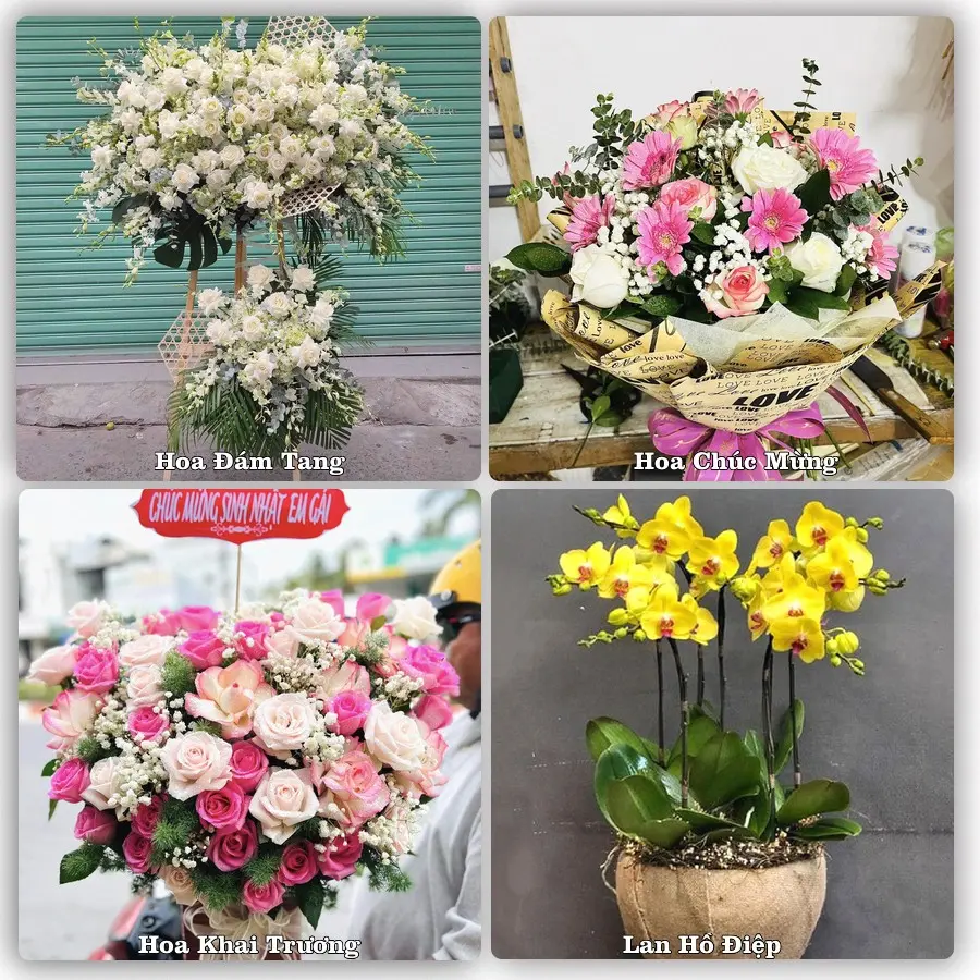 Mẫu hoa tươi giao tại Chánh Hiệp, TP.HCM