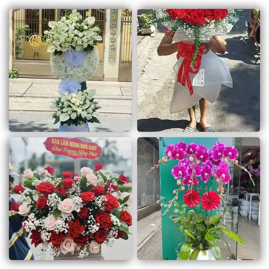 Mẫu hoa tươi tại Châu Thành