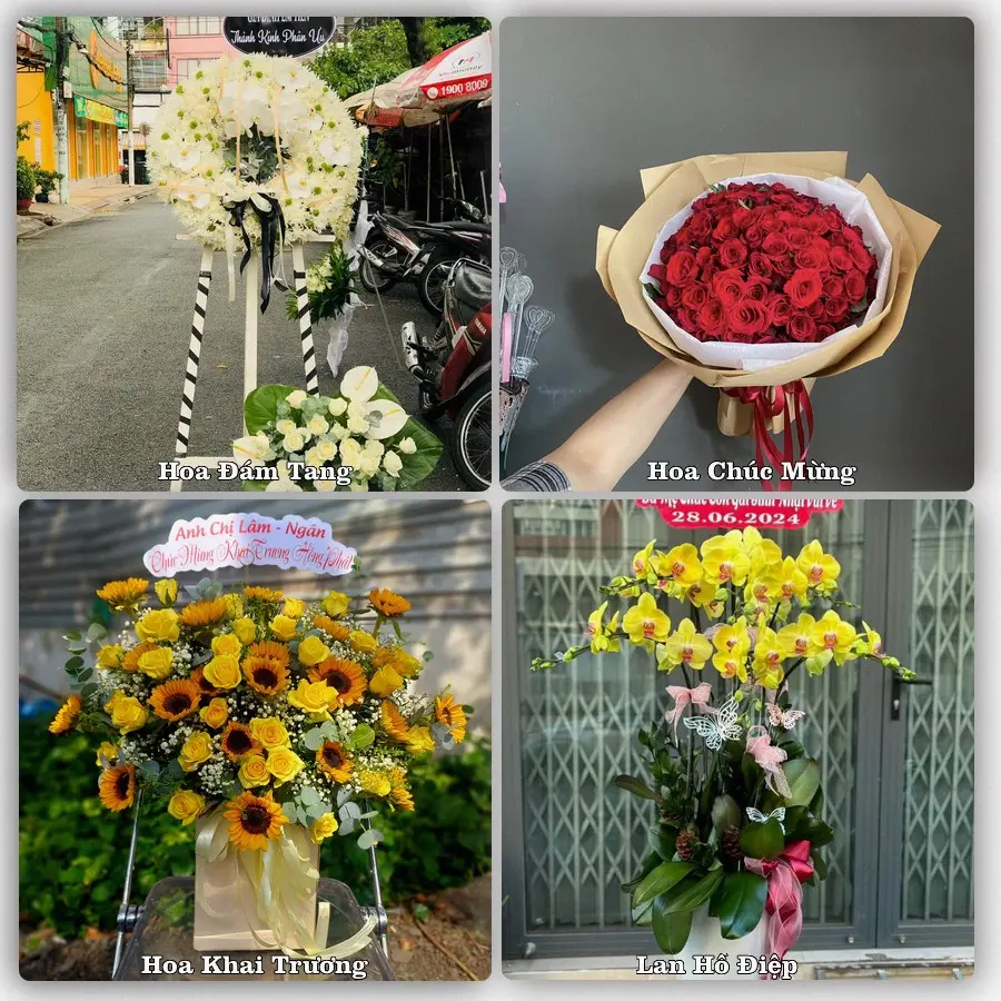 Mẫu hoa tươi giao tại Chợ Lớn, TP.HCM