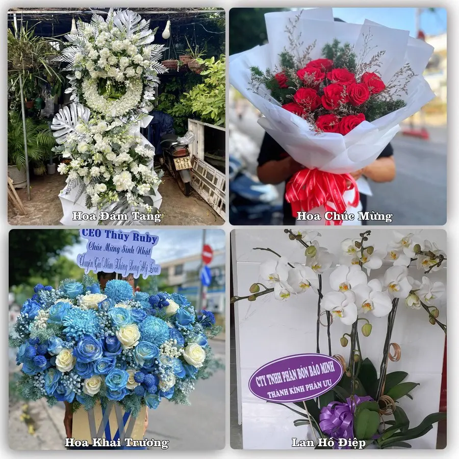 Đặt hoa giao tận nơi khu Chợ Quán, TP.HCM