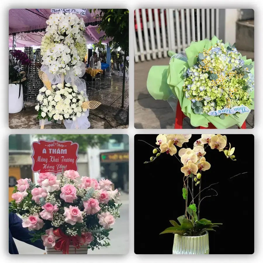 Mẫu hoa tươi tại Chũ
