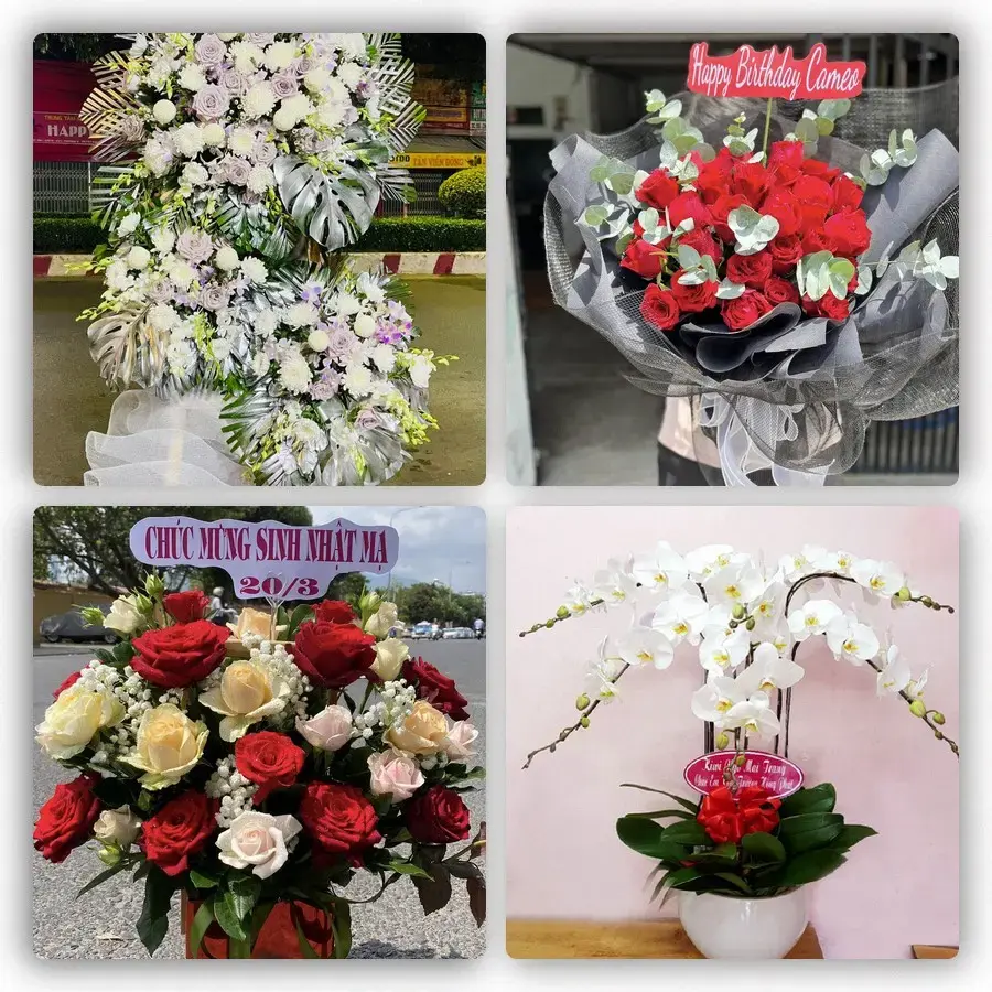 Mẫu hoa tươi tại Cô Tô