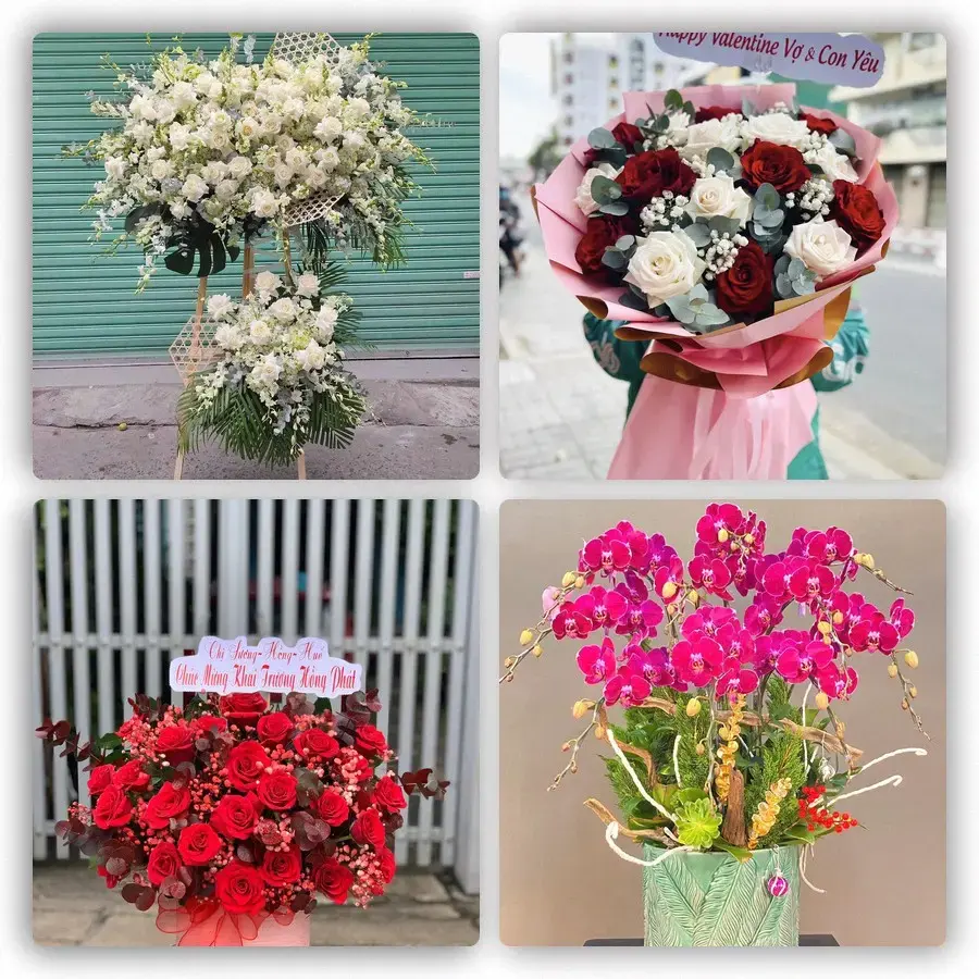 Mẫu hoa tươi tại Cù Lao Dung