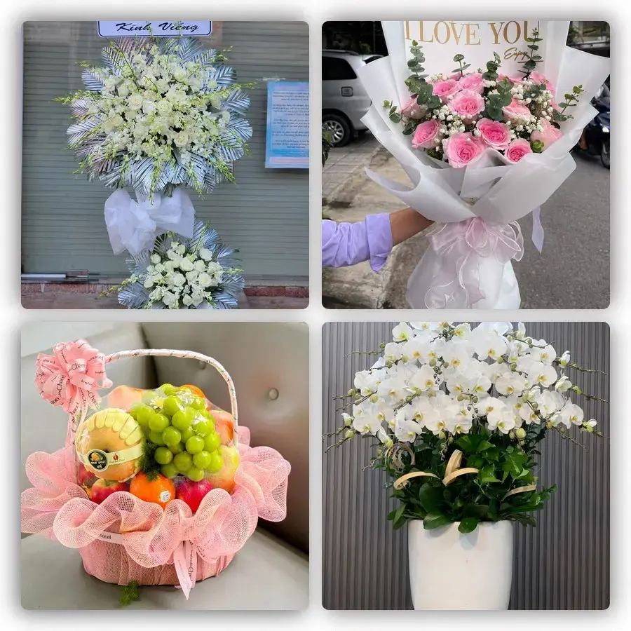Mẫu hoa tươi tại Đắk Mâm