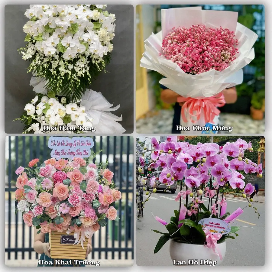Đặt hoa giao tận nơi khu Diên Hồng, TP.HCM
