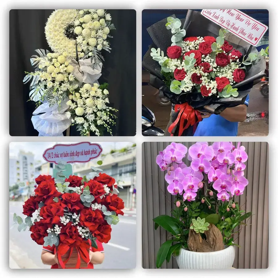 Mẫu hoa tươi tại Đô Lương
