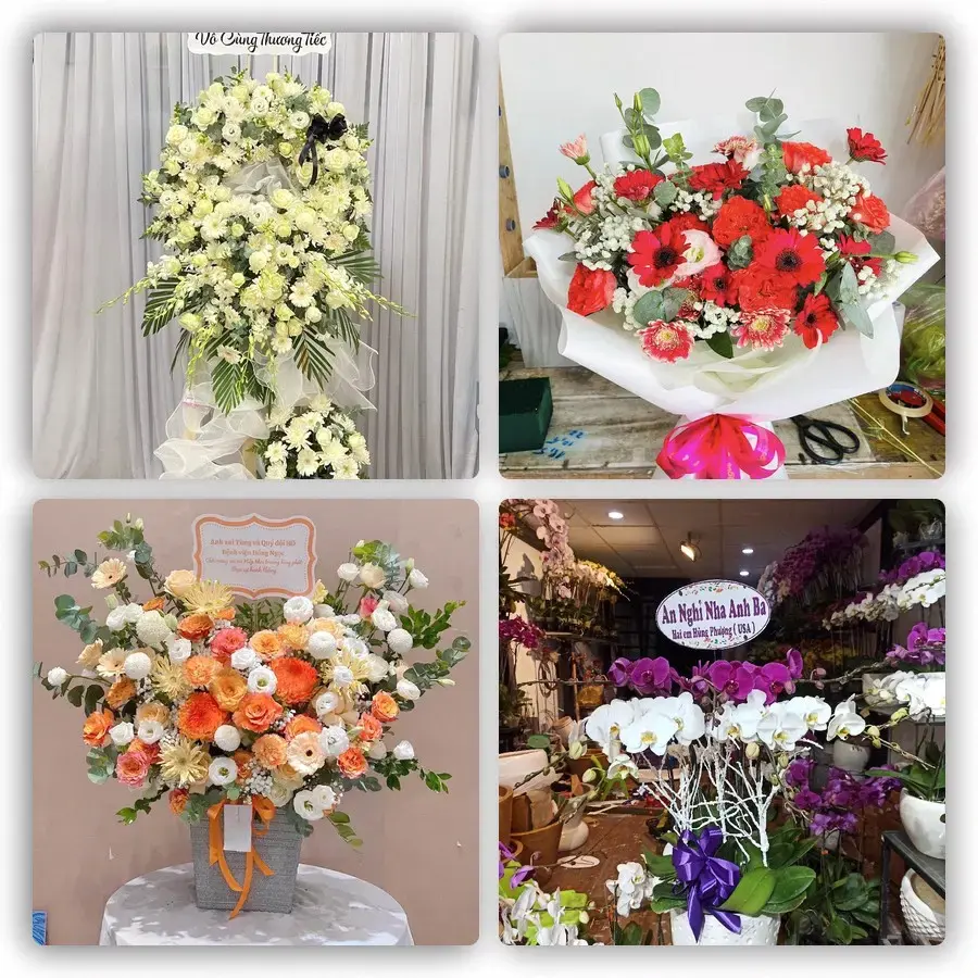 Mẫu hoa tươi tại Đông Hòa