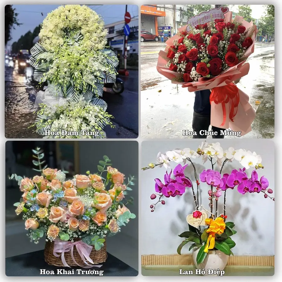 Đặt hoa giao tận nơi khu Đông Hưng Thuận, Quận 12