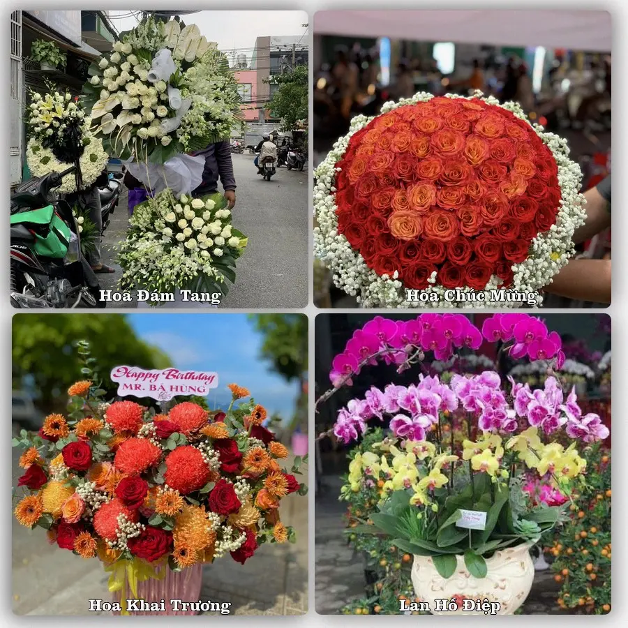 Mẫu hoa tươi giao tại Đông Hưng Thuận, Quận 12