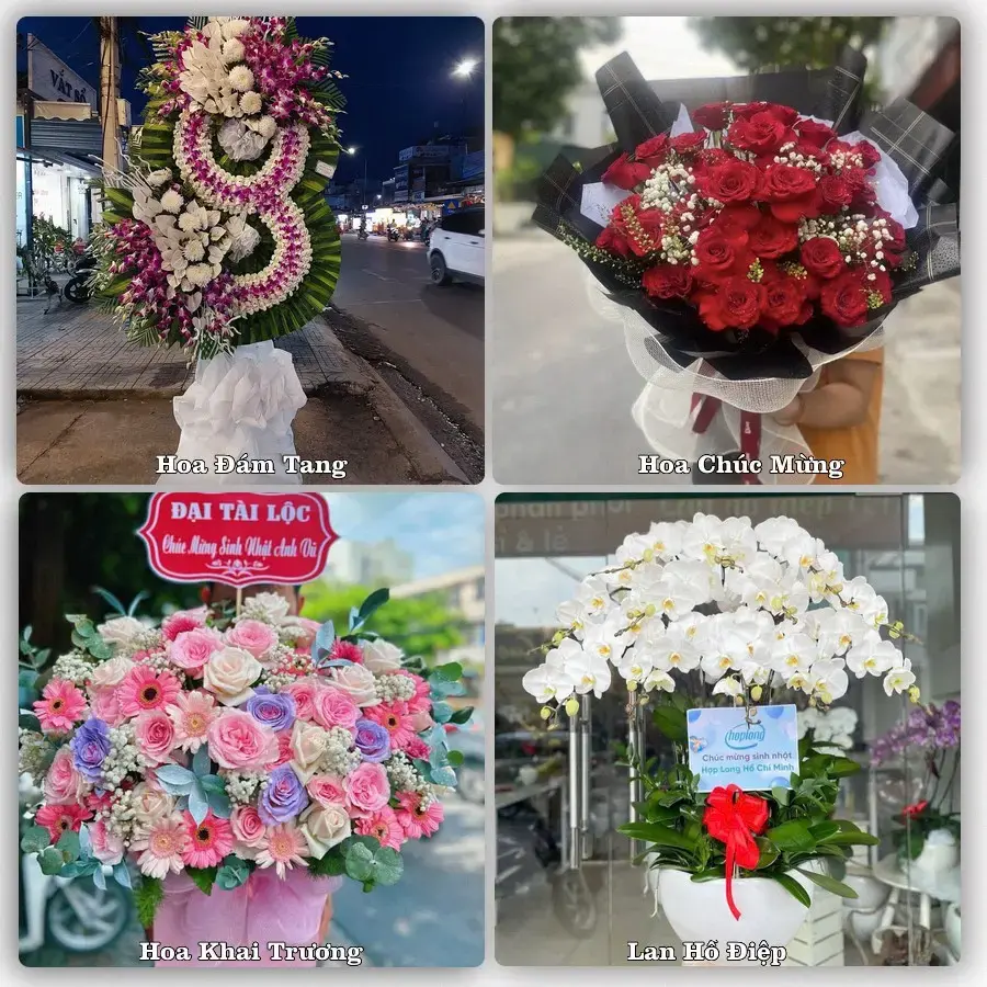 Shop hoa tươi Đông Thạnh, TP.HCM – đặt hoa theo dịp, giao tận nơi