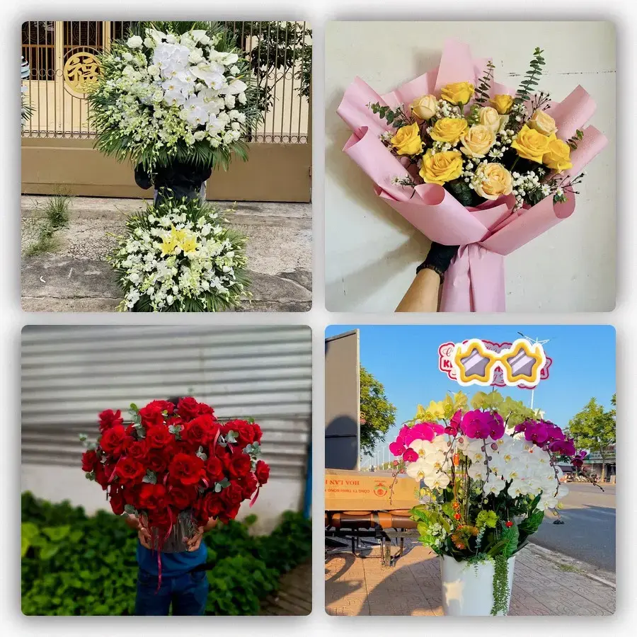 Mẫu hoa tươi tại Đức Mỹ