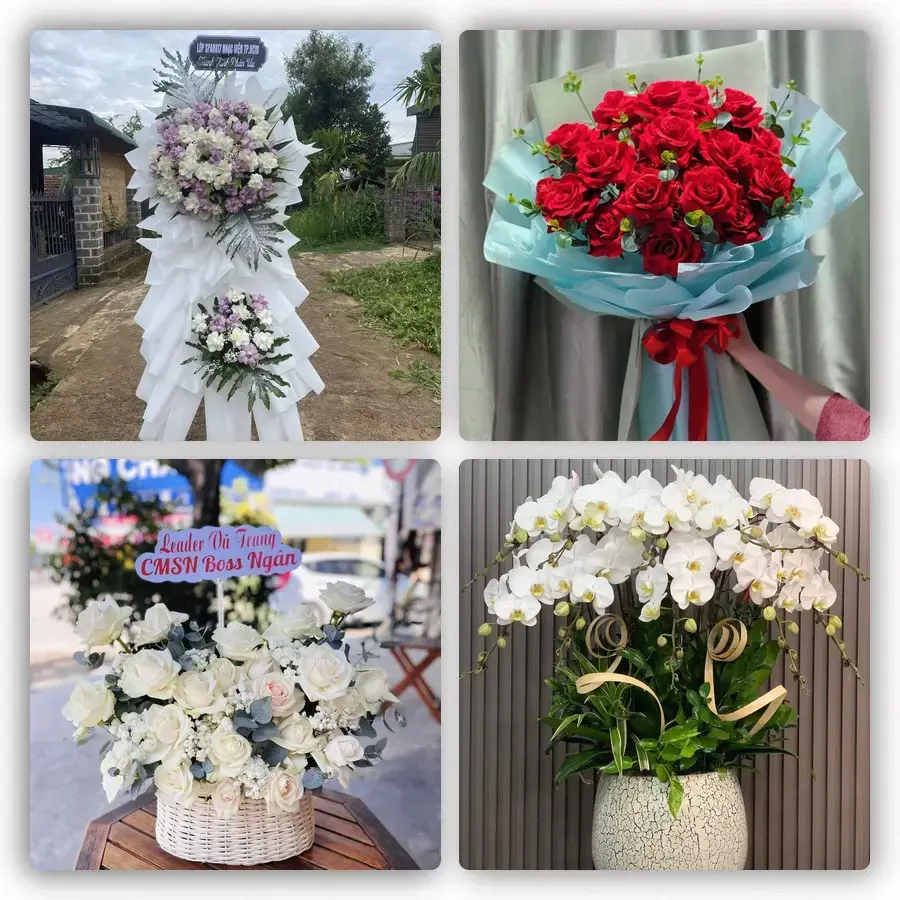 Mẫu hoa tươi tại Đức Phổ