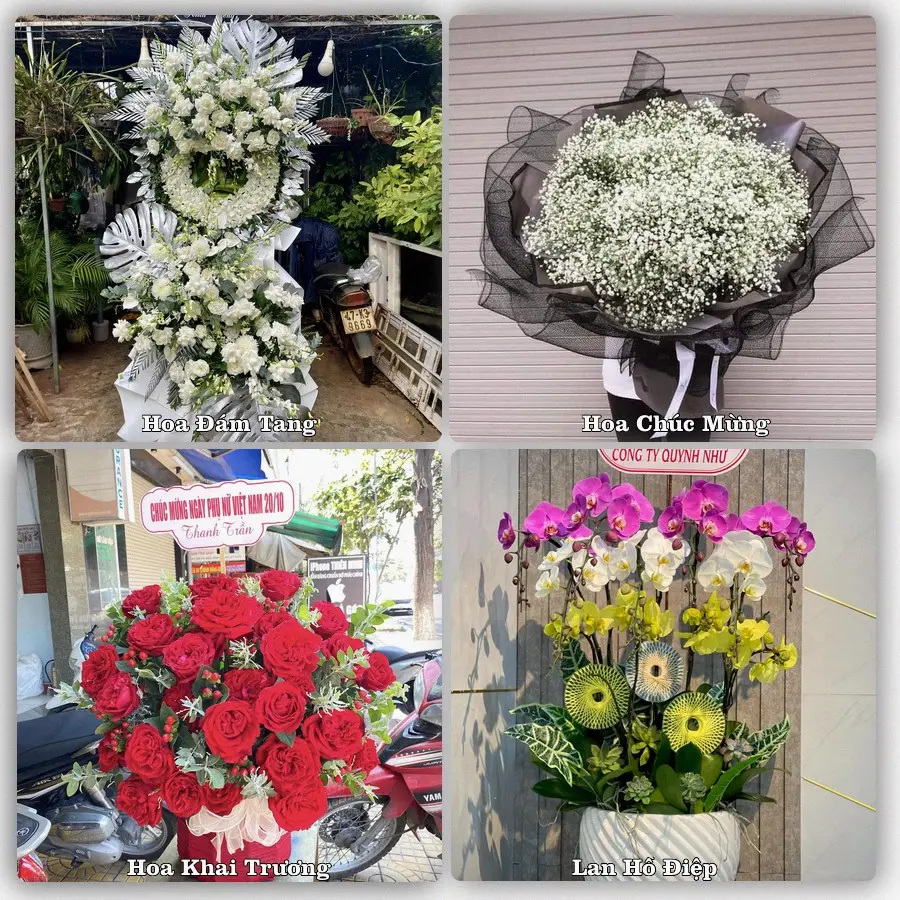 Đặt hoa giao tận nơi khu Dương Nội, Hà Nội