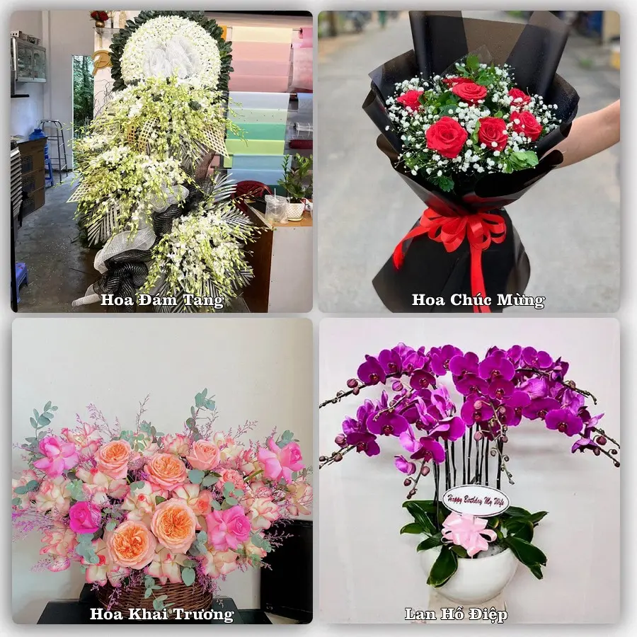 Mẫu hoa tươi giao tại Dương Nội, Hà Nội