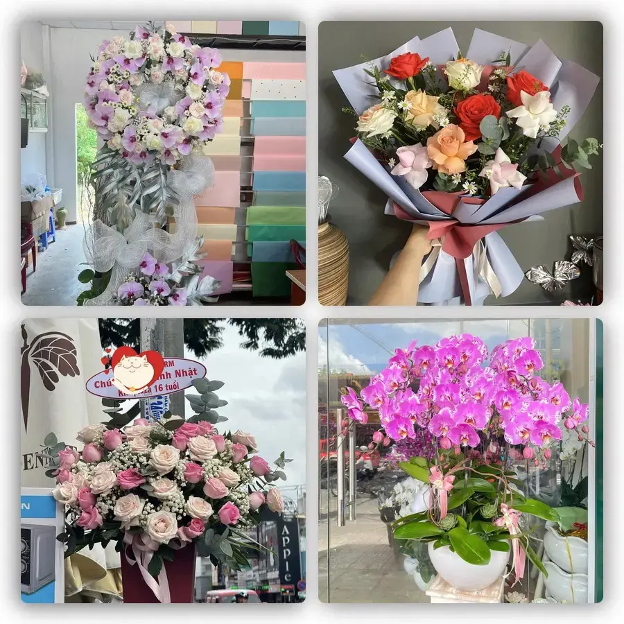 Mẫu hoa tươi tại Gành Hào