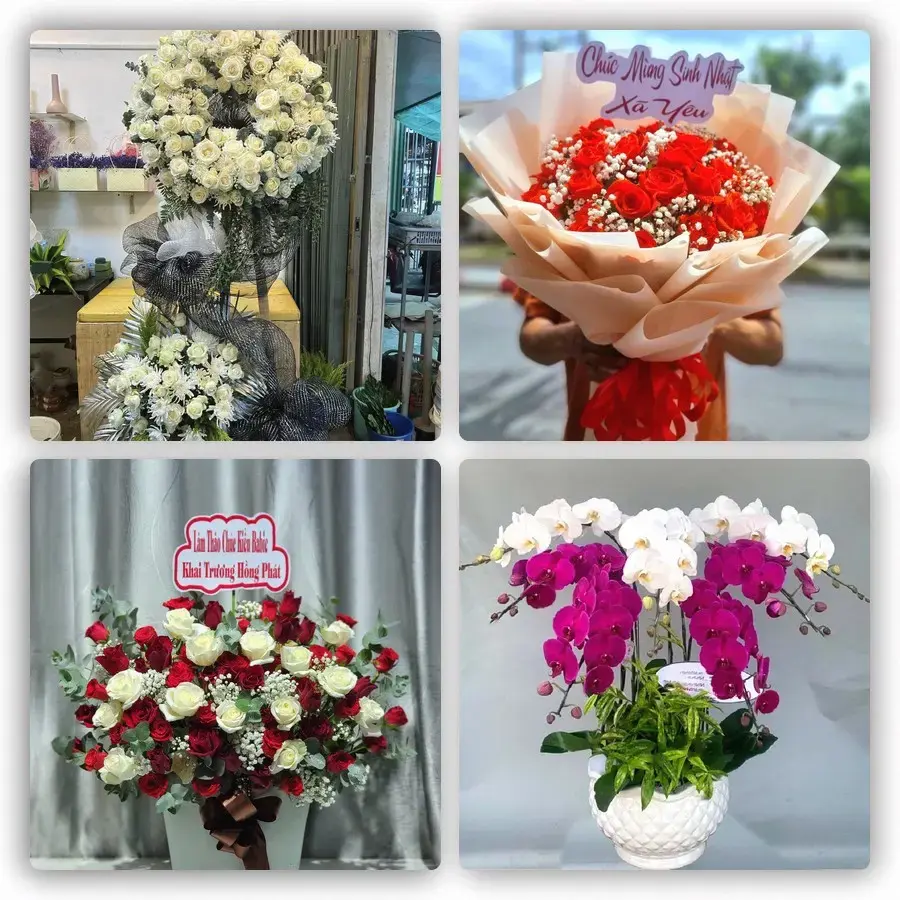 Mẫu hoa tươi tại Gia Bình