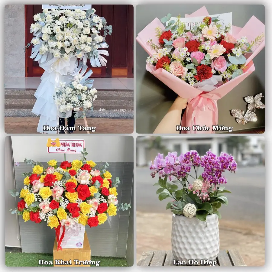 Đặt hoa giao tận nơi khu Gia Viên, Hải Phòng