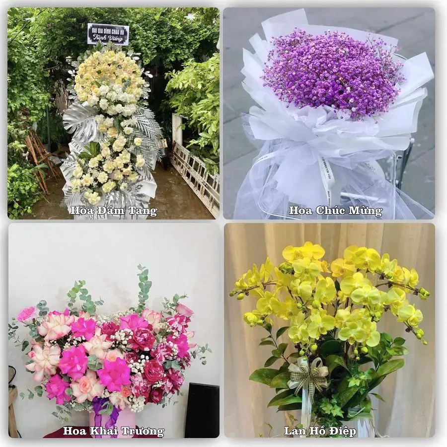 Shop hoa tươi Giảng Võ, Hà Nội – đặt hoa theo dịp, giao tận nơi