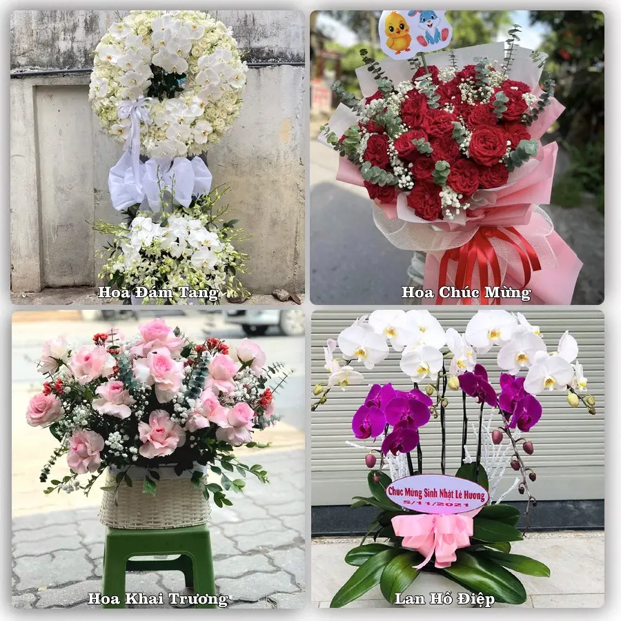 Đặt hoa giao tận nơi khu Hà Đông, Hà Nội