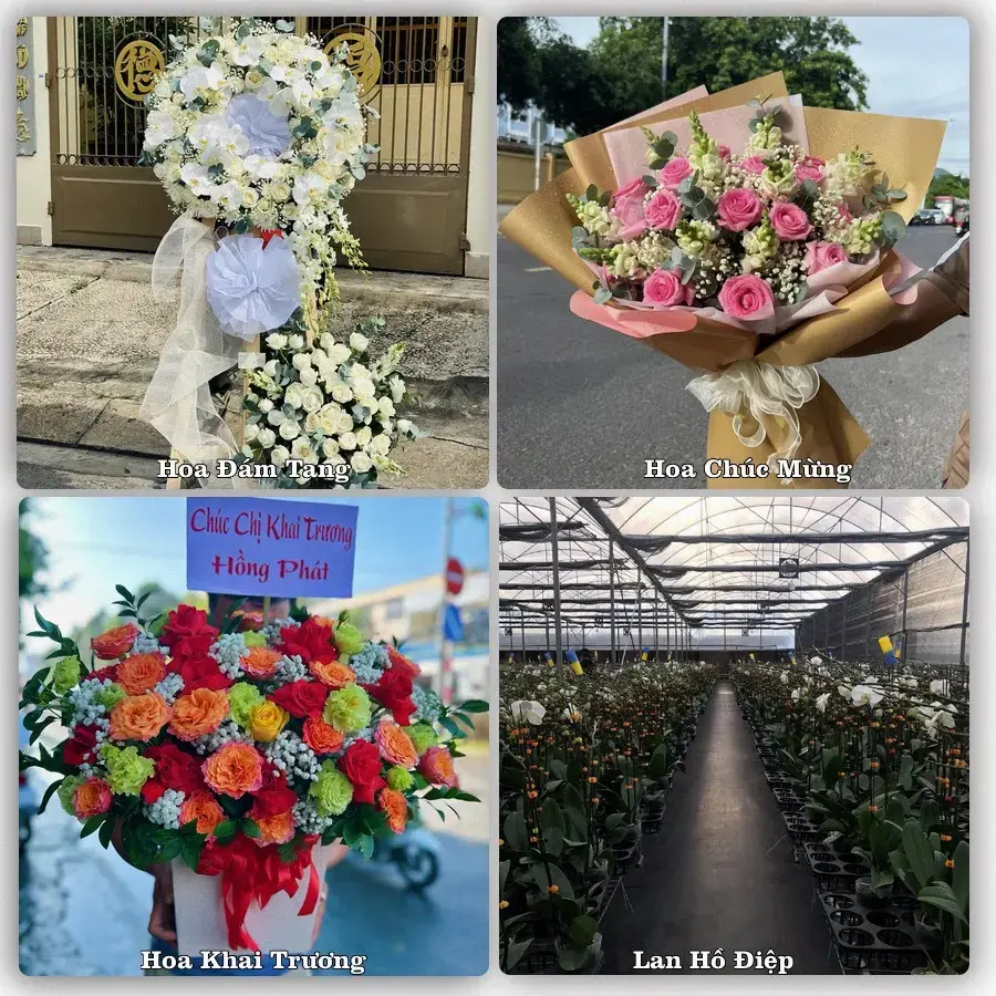 Shop hoa tươi Hà Đông, Hà Nội – đặt hoa theo dịp, giao tận nơi