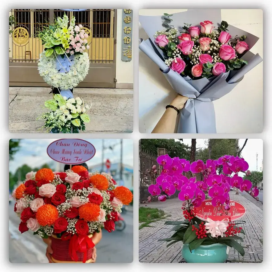 Mẫu hoa tươi tại Hà Giang