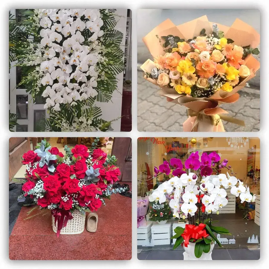 Mẫu hoa tươi tại Hạ Long