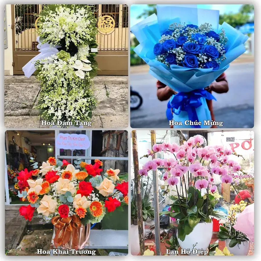 Shop hoa tươi Hải An, Hải Phòng – đặt hoa theo dịp, giao tận nơi