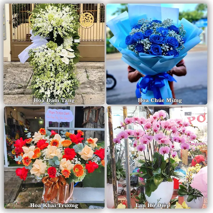 Mẫu hoa tươi giao tại Hải An, Hải Phòng