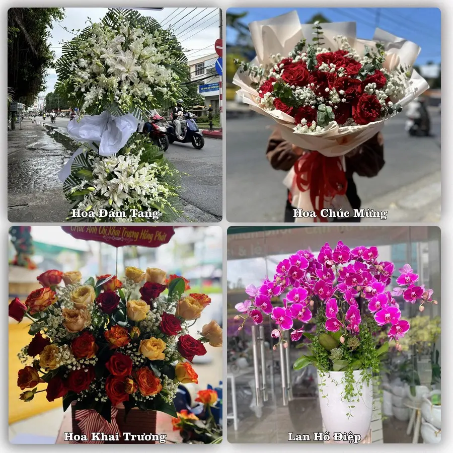 Mẫu hoa tươi giao tại Hải Châu, Đà Nẵng