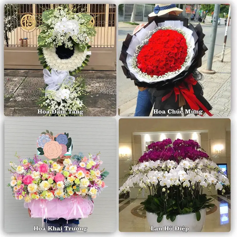 Đặt hoa giao tận nơi khu Hải Dương, Hải Phòng