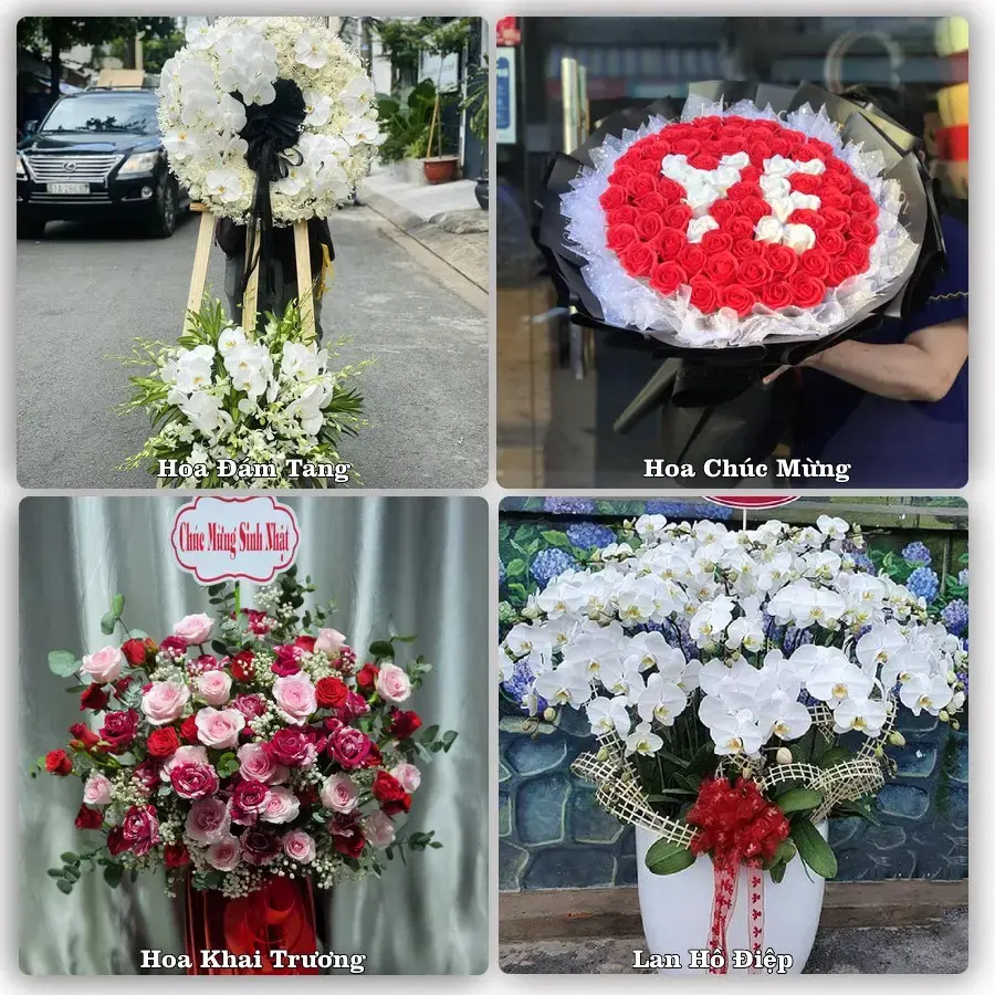 Shop hoa tươi Hải Dương, Hải Phòng – đặt hoa theo dịp, giao tận nơi