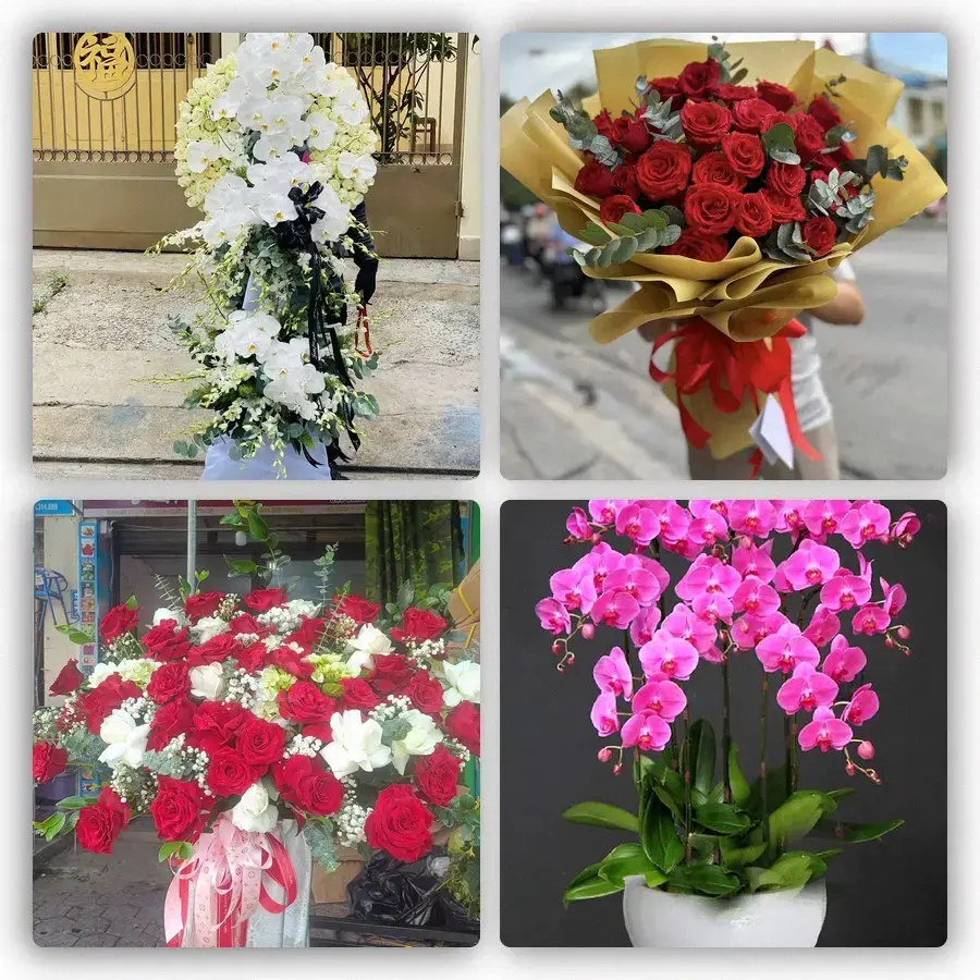 Mẫu hoa tươi tại Hậu Lộc
