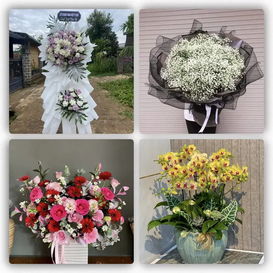 Mẫu hoa tươi tại Hậu Nghĩa